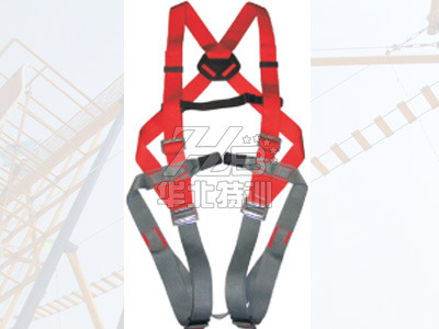 ȫ����ȫ��