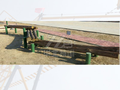 ���(d��ng)ľ�R