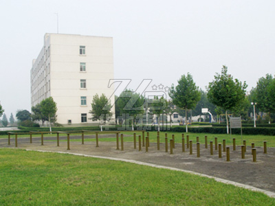 �����ߣ�÷�����������ۘ�